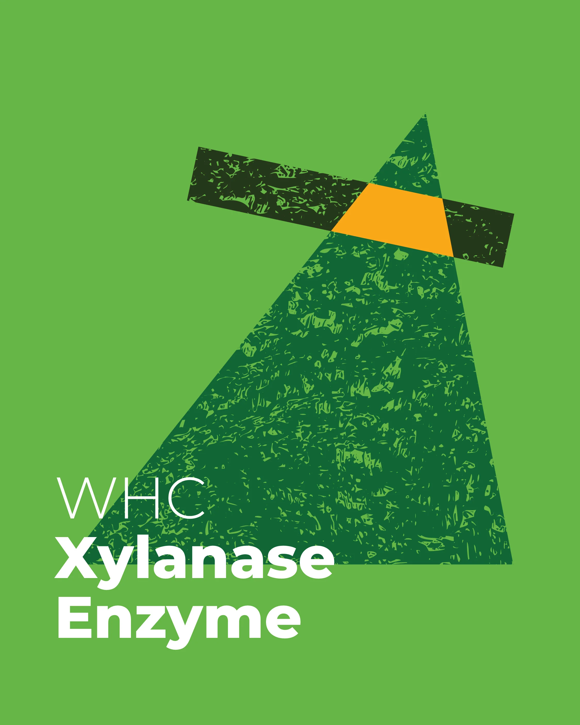 Enzymes